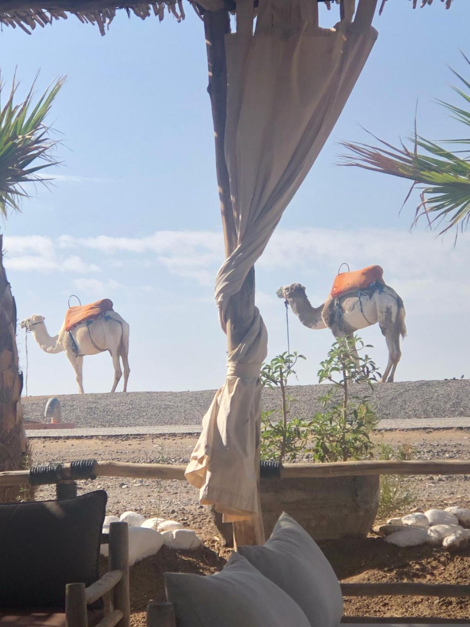 Riad Abbassia Marrakech Premiere Marakéš Exteriér fotografie