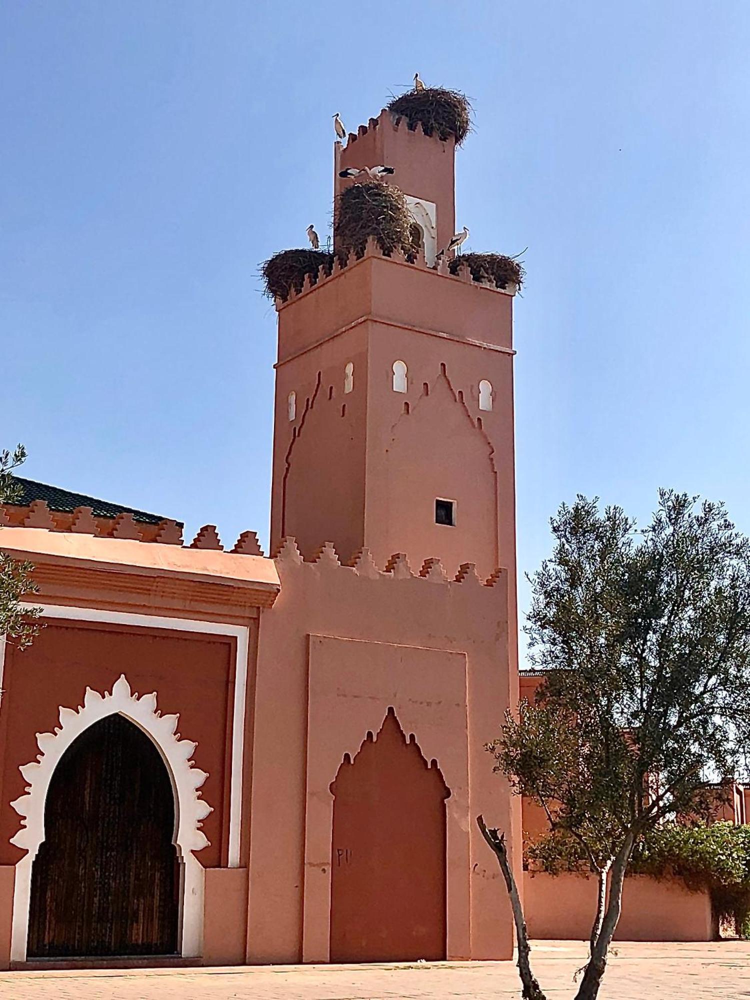 Riad Abbassia Marrakech Premiere Marakéš Exteriér fotografie