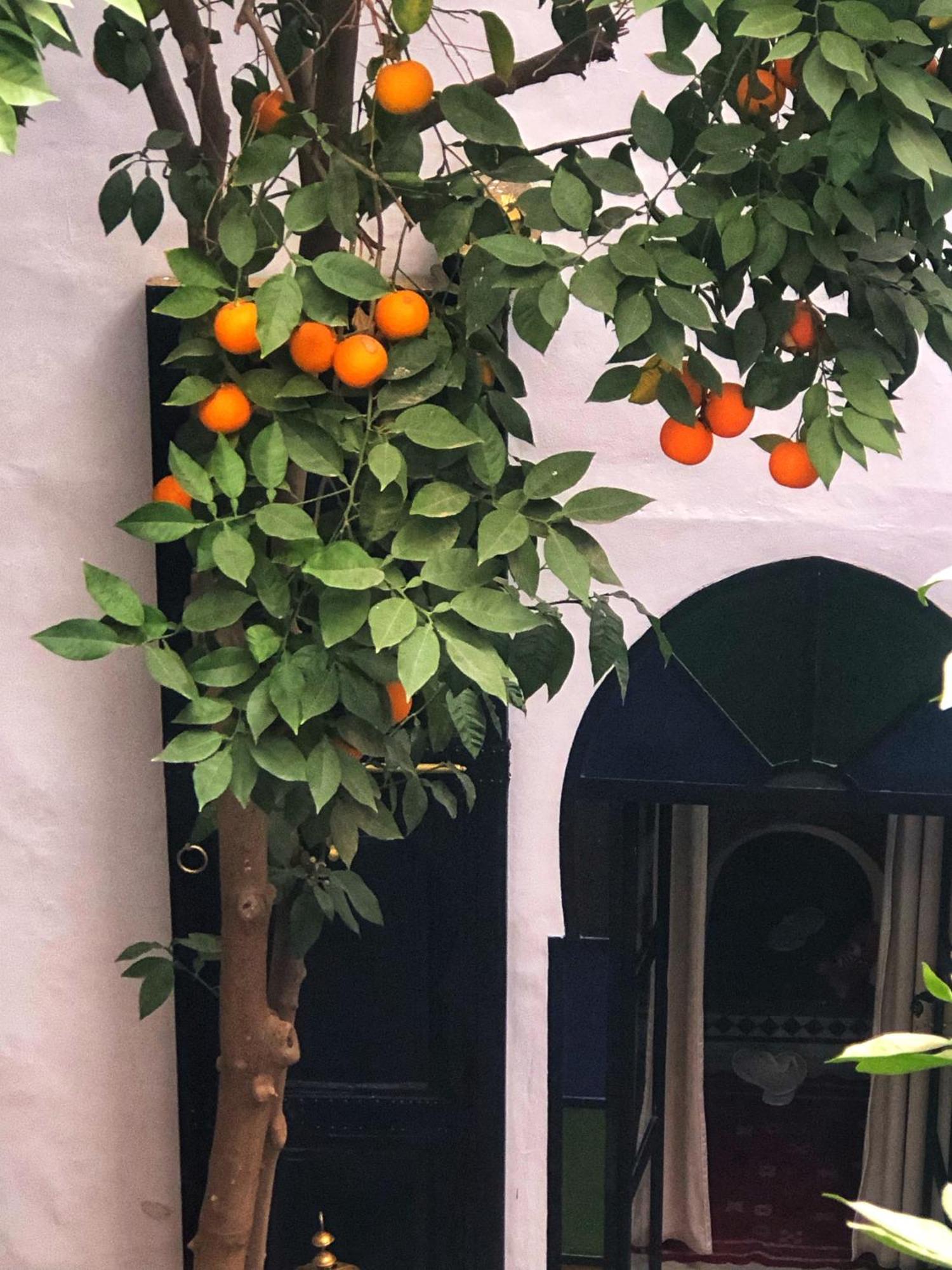 Riad Abbassia Marrakech Premiere Marakéš Exteriér fotografie